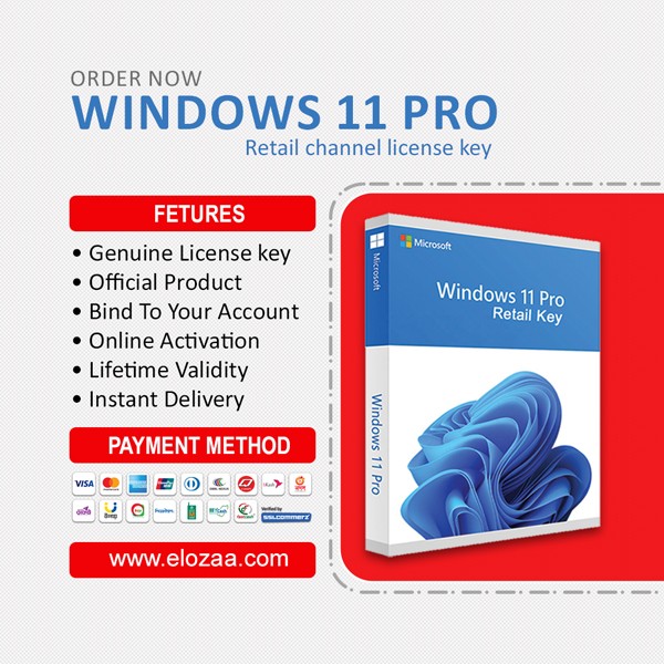 Microsoft Windows 11 Professional – OEM Key - Lifetime License Key – Online Activation
