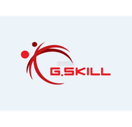 G.Skill