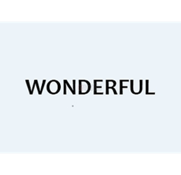 WONDERFUL