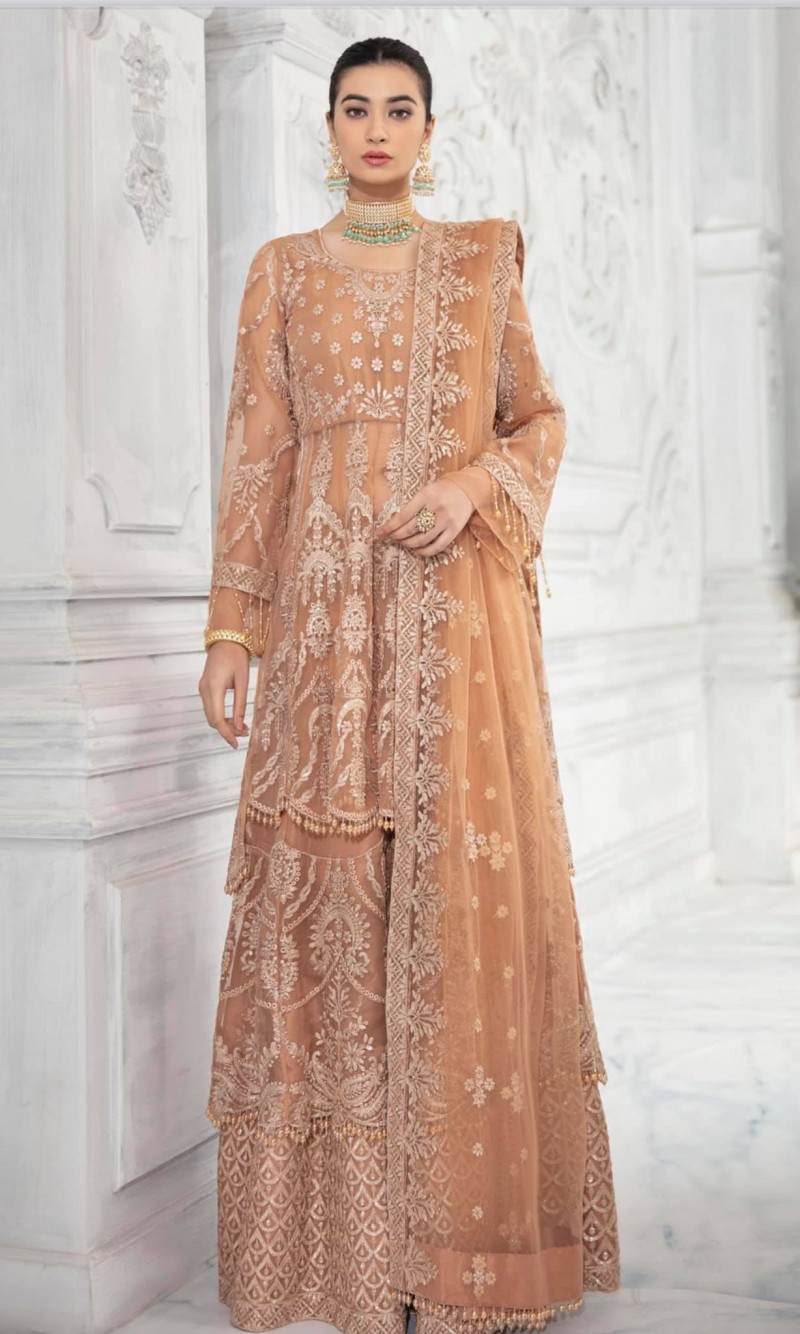 Azalea chiffon collection Dupatta chiffon & organza